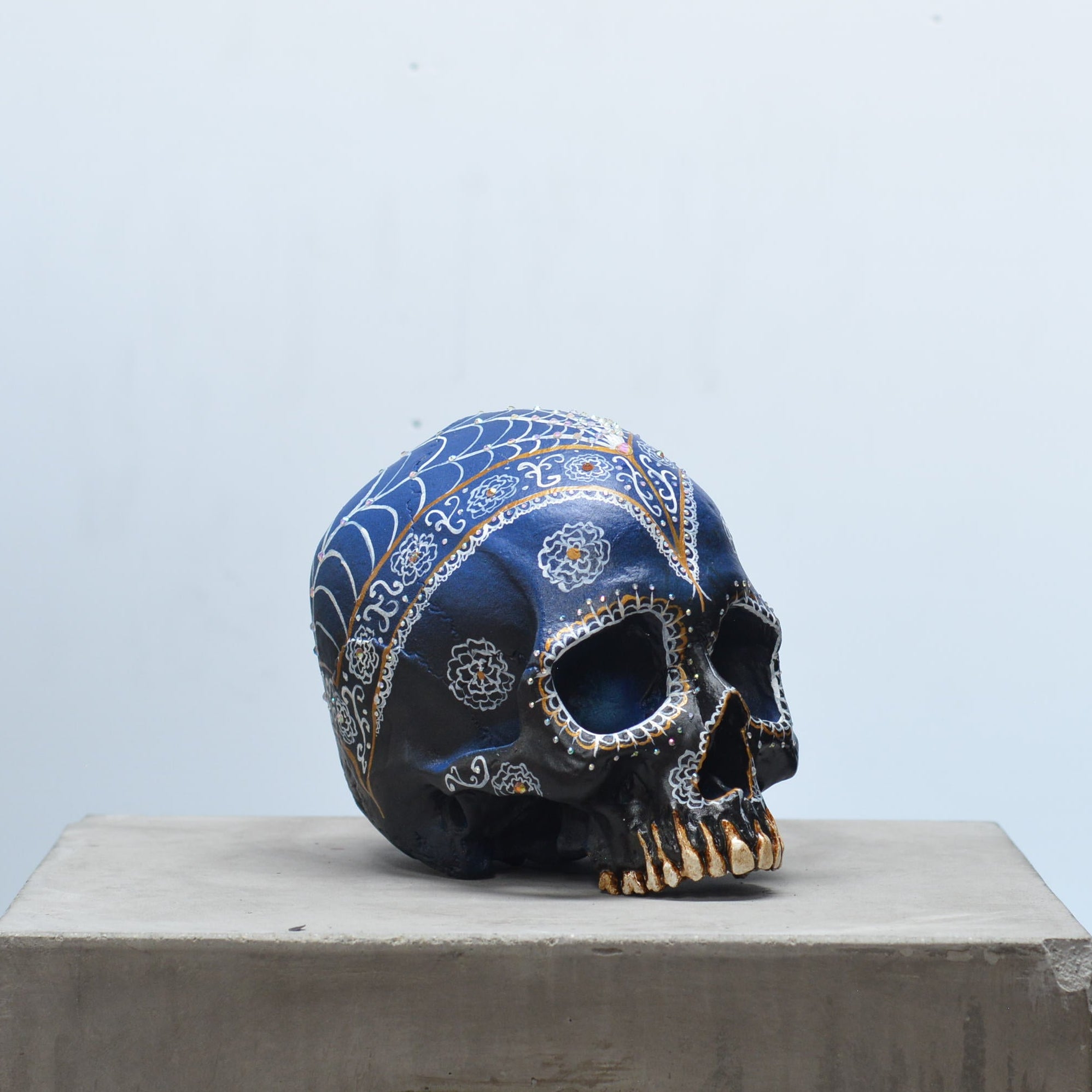 Human Skull - Royalty [EXPERIMENTAL PAINT]