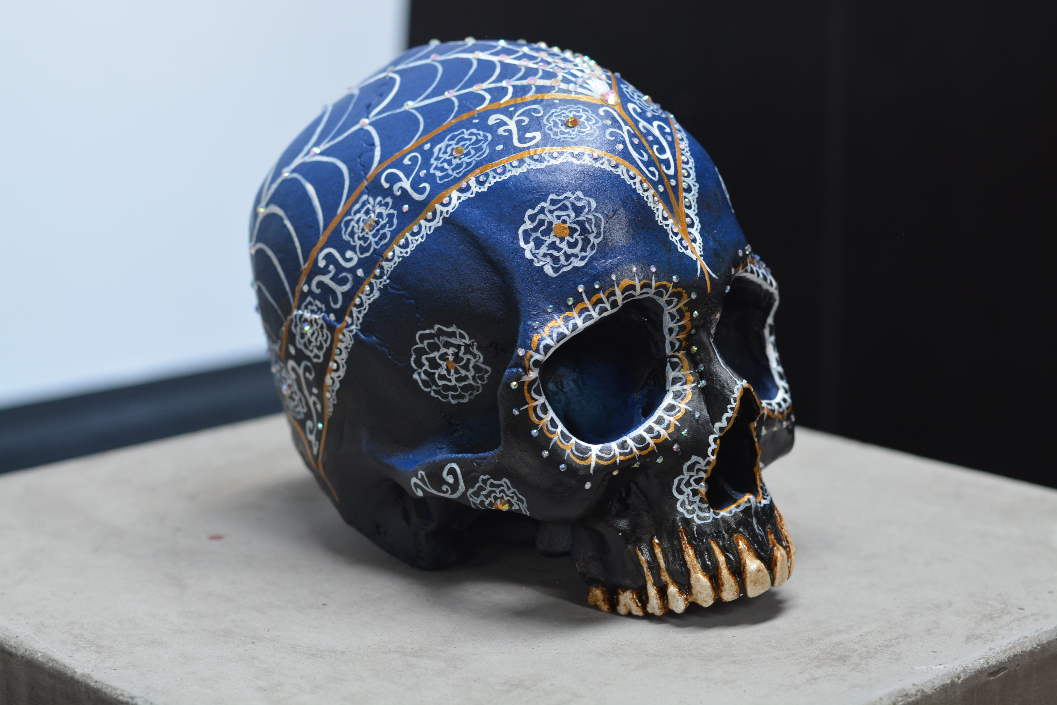 Human Skull - Royalty [EXPERIMENTAL PAINT]