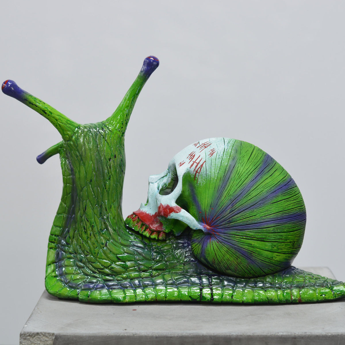 Snail Skull - JOKER