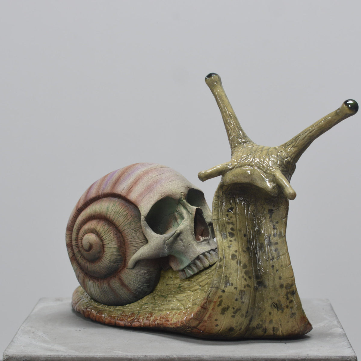 Snail Skull - Self Contained