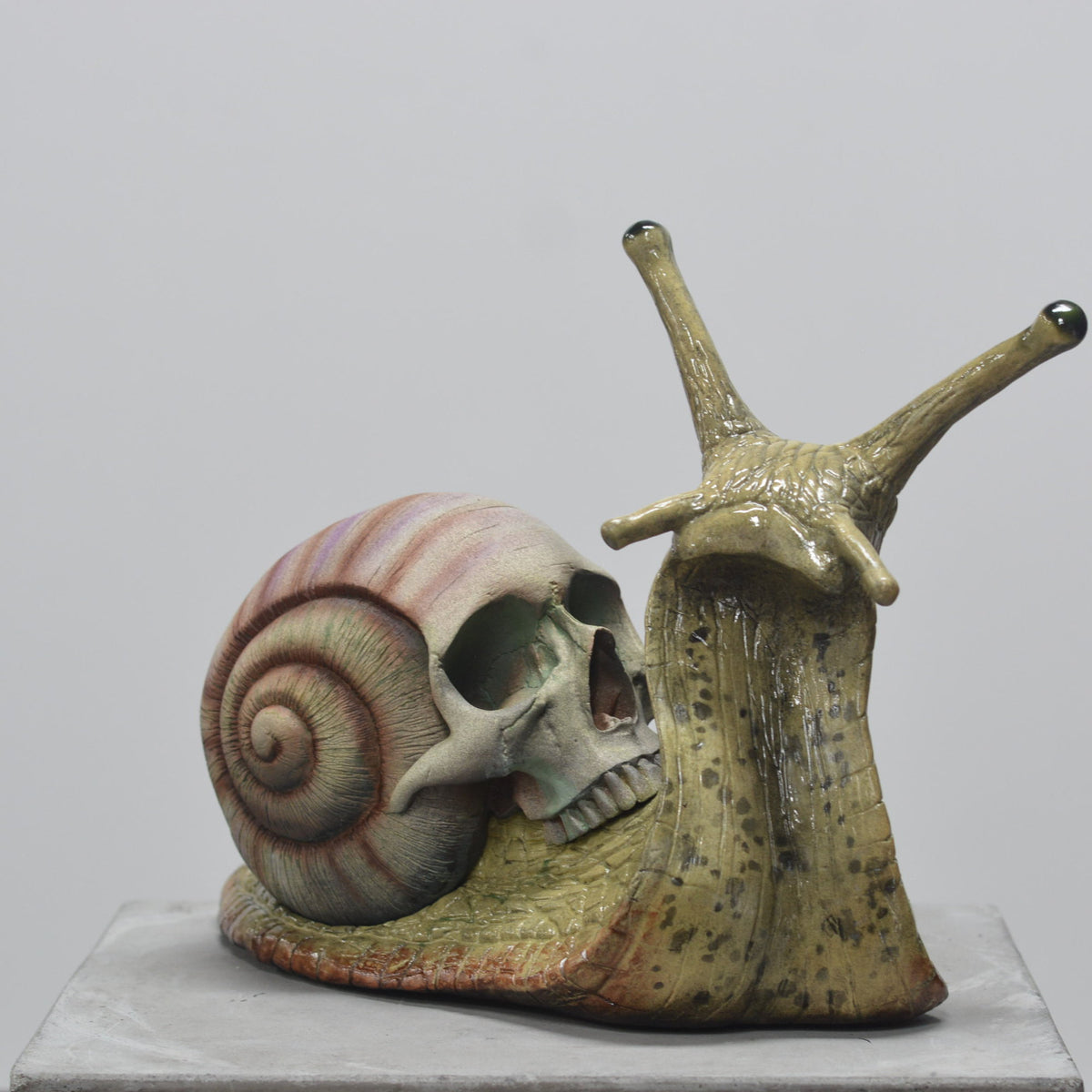 Snail Skull - Self Contained
