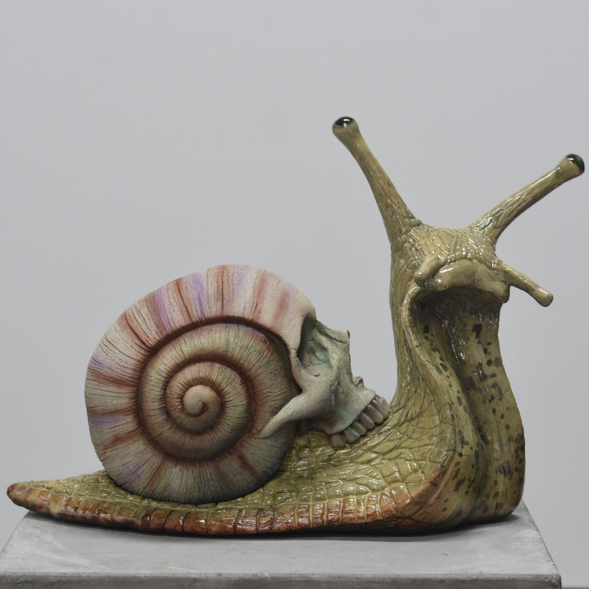 Snail Skull - Self Contained