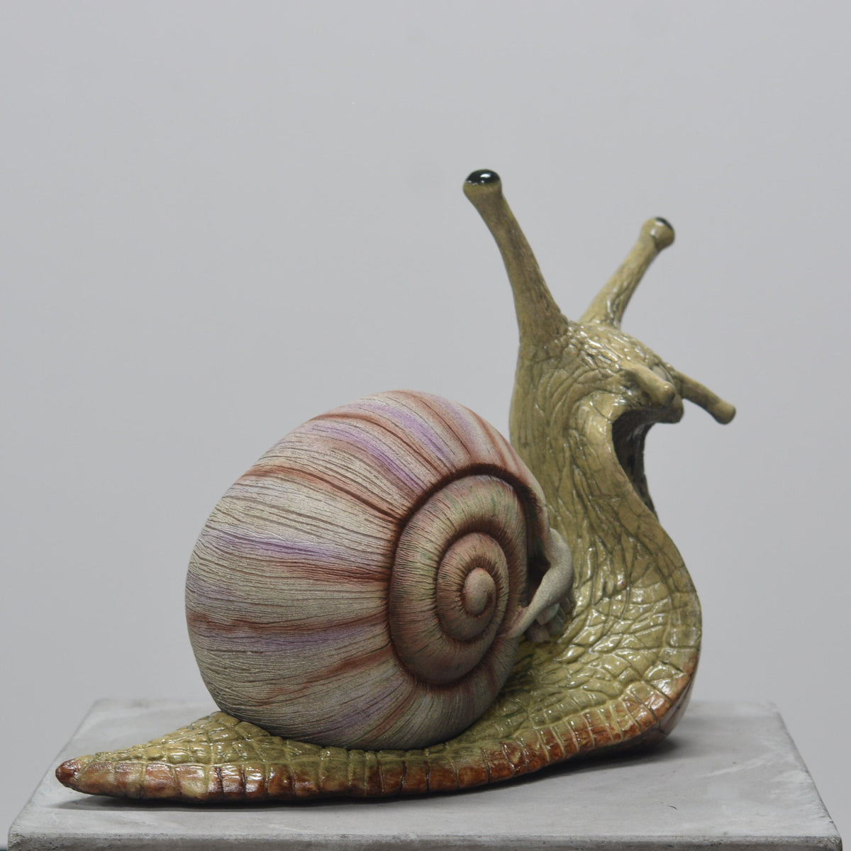 Snail Skull - Self Contained