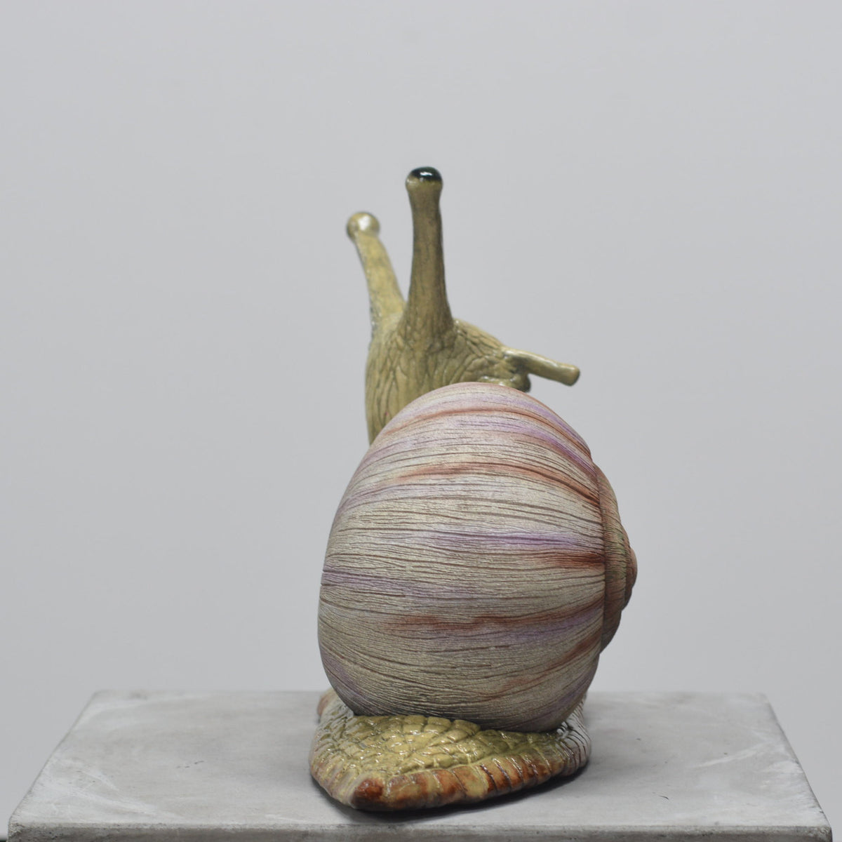 Snail Skull - Self Contained