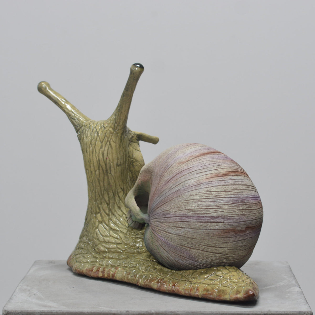 Snail Skull - Self Contained
