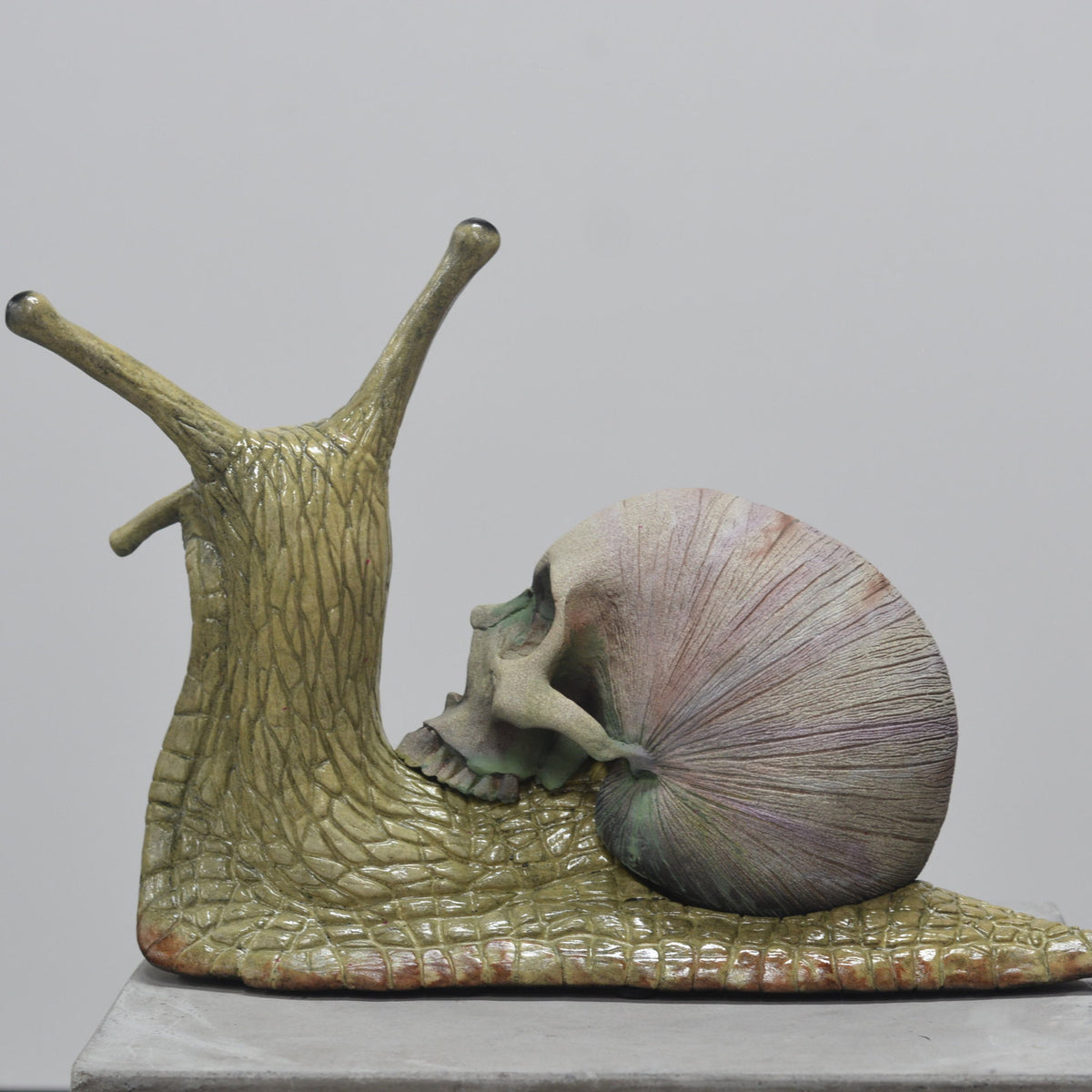 Snail Skull - Self Contained