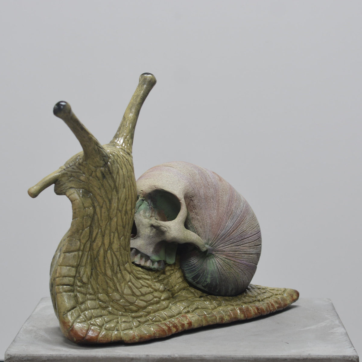 Snail Skull - Self Contained