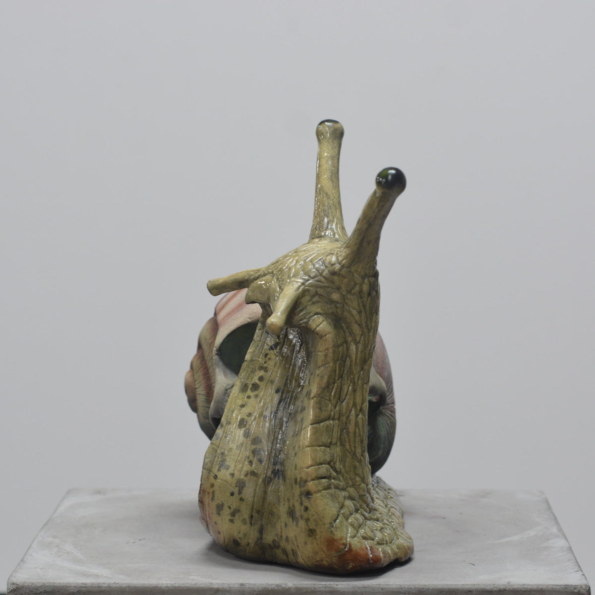 Snail Skull - Self Contained
