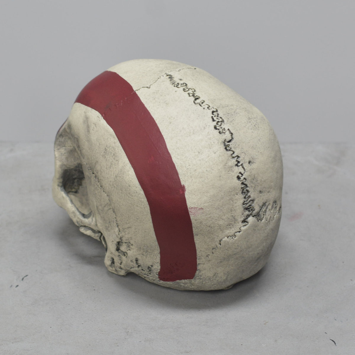 Human Skull - Marked Warrior
