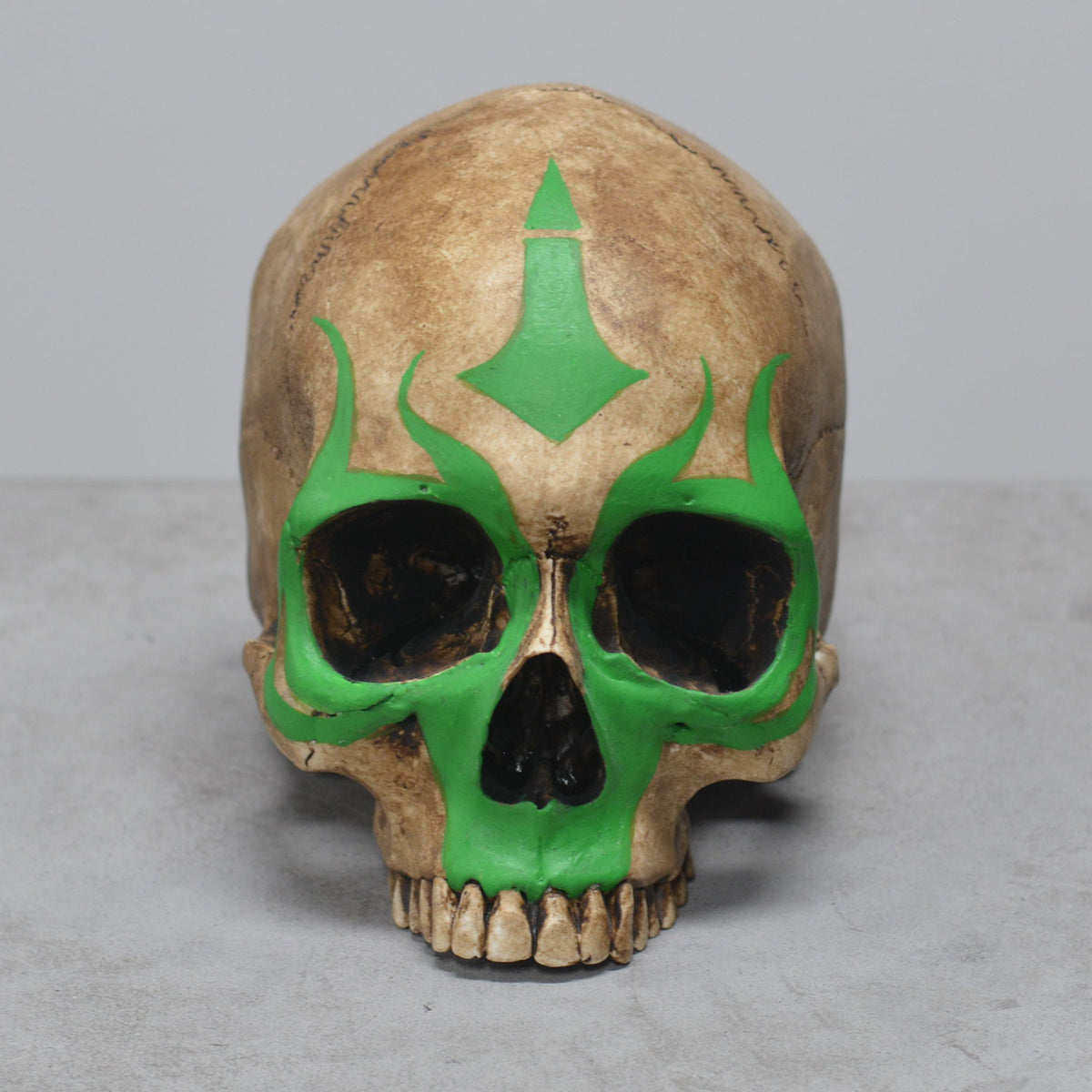 Human Skull - Shaman