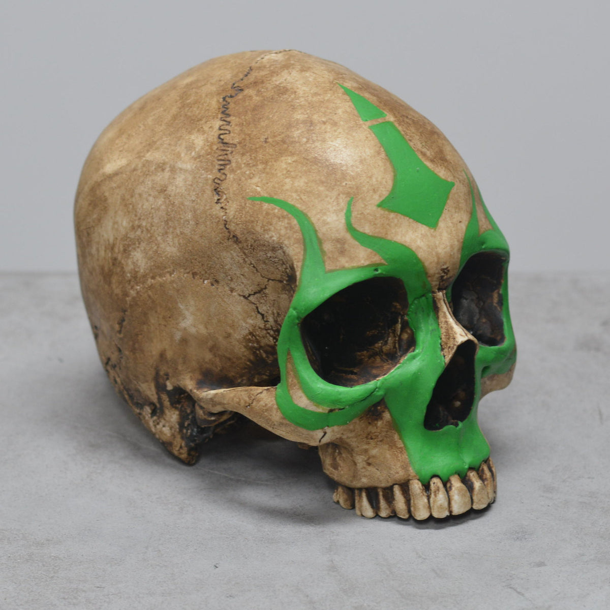 Human Skull - Shaman
