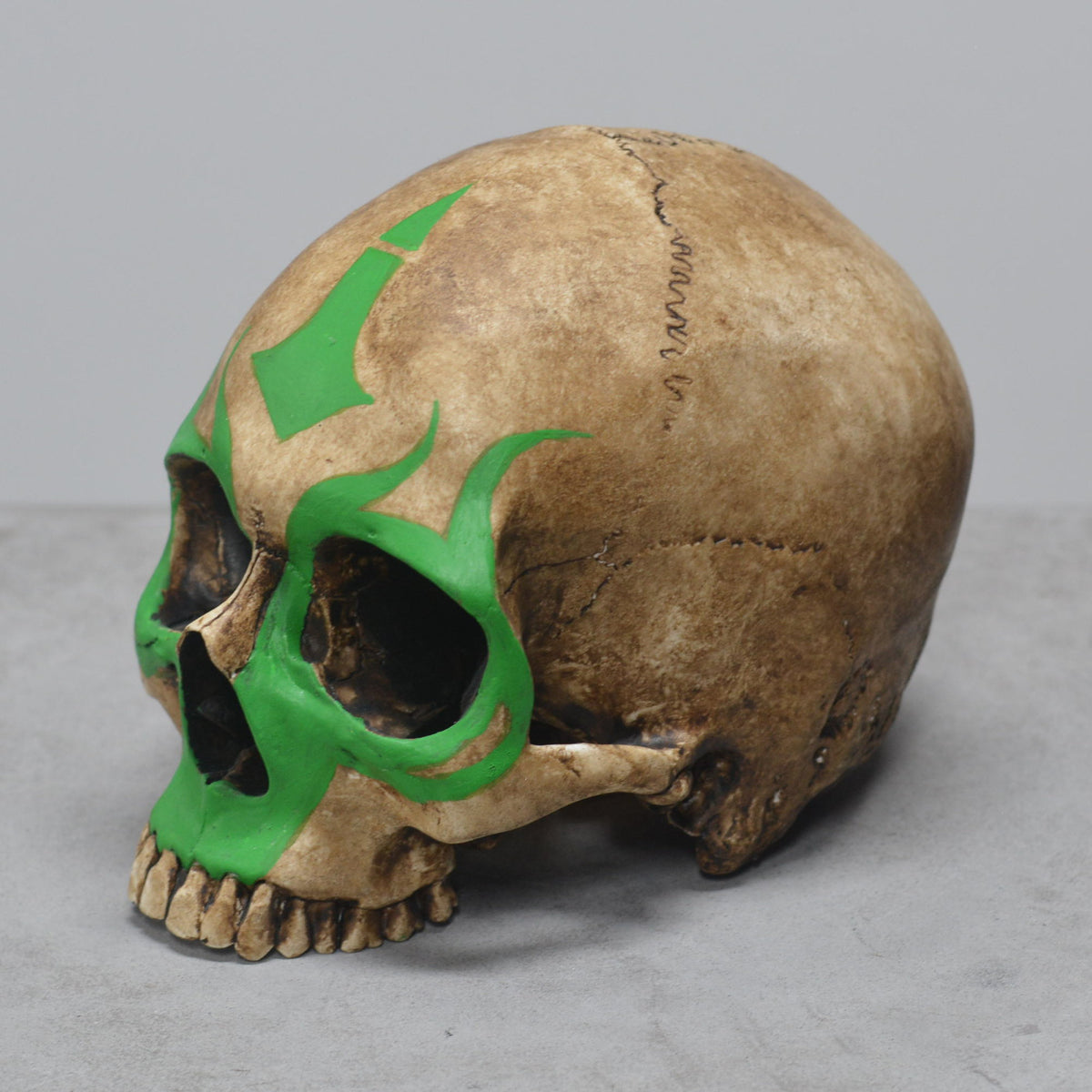 Human Skull - Shaman