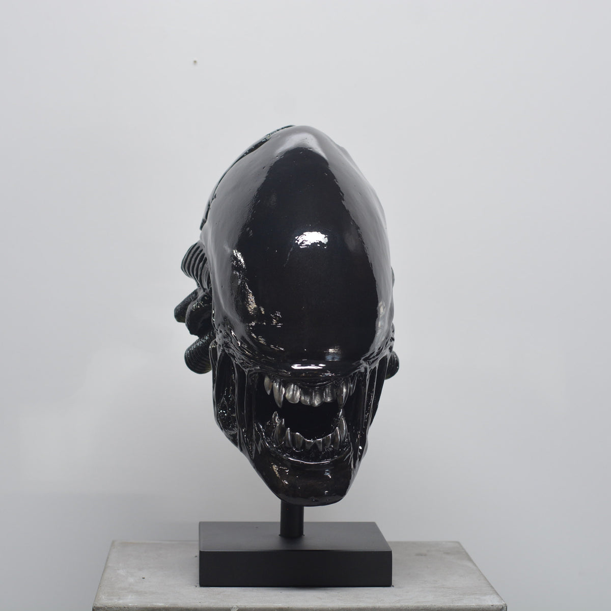 Xeno Trophy [SCRATCH & DENT]