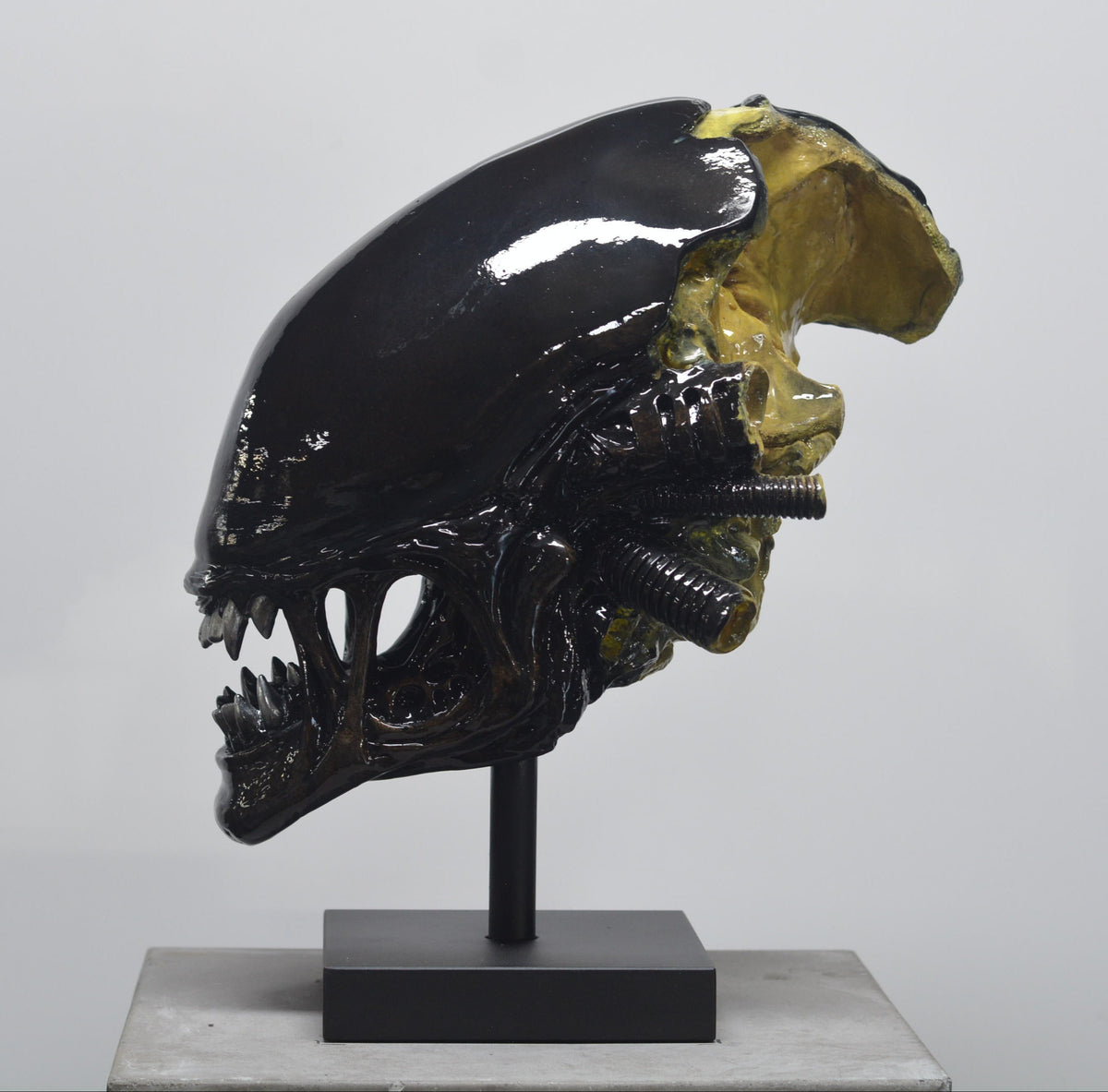 Xeno Trophy [SCRATCH & DENT]
