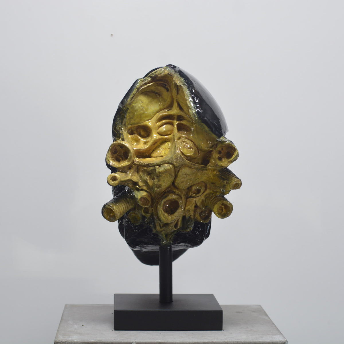 Xeno Trophy [SCRATCH & DENT]