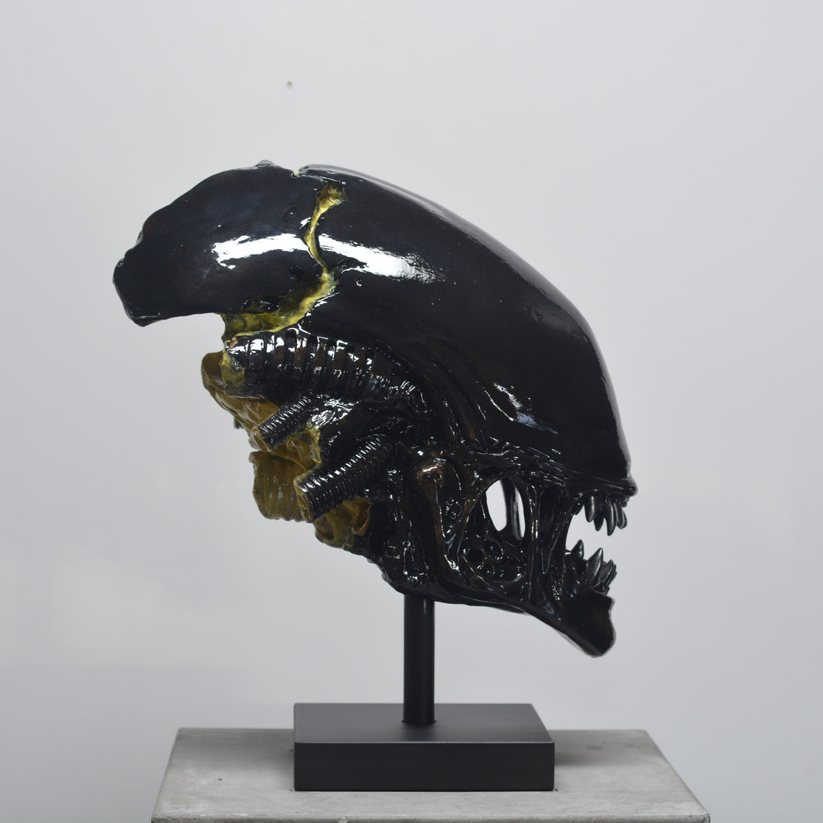 Xeno Trophy [SCRATCH & DENT]