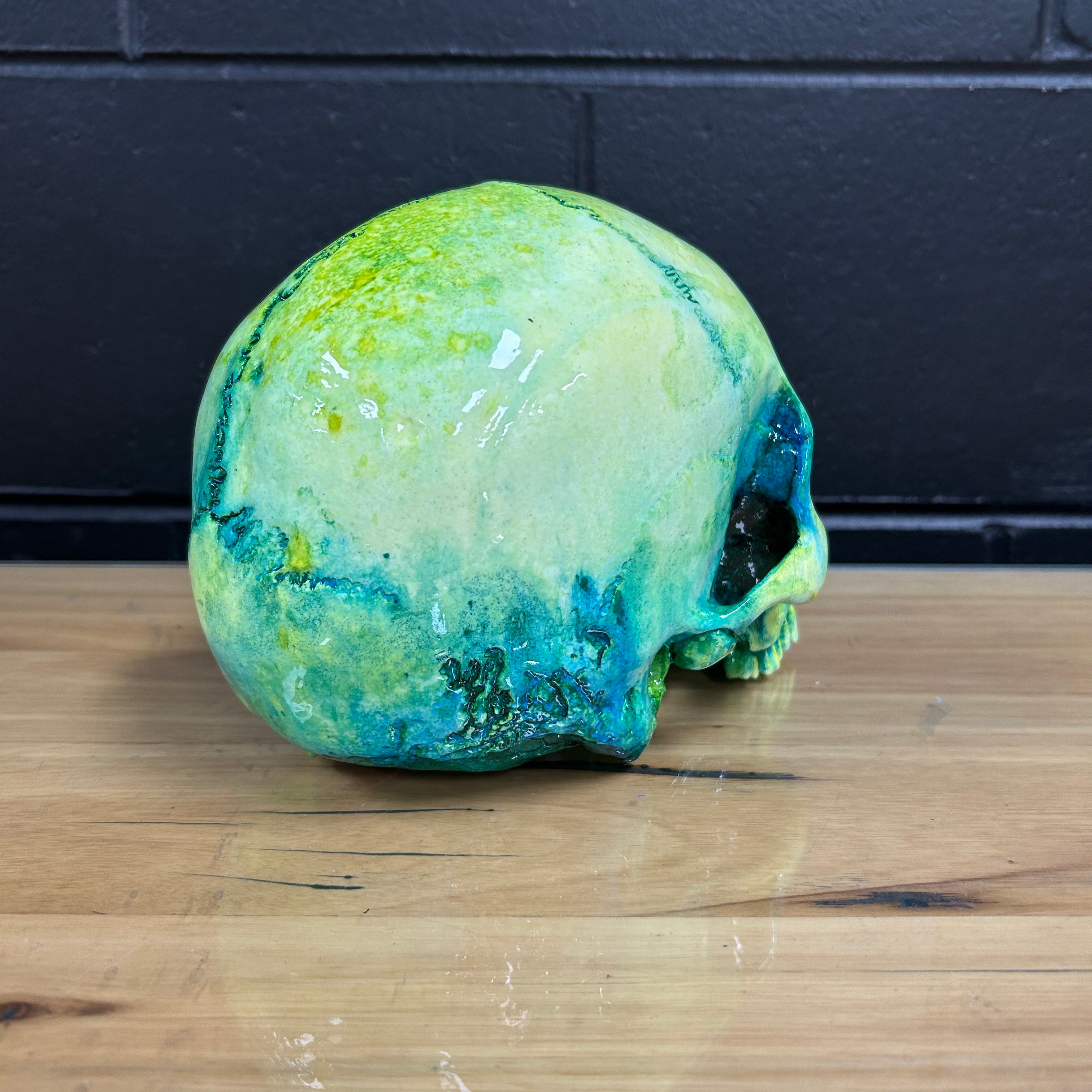 Human Skull Vat of Acid [TEST PAINT 2]