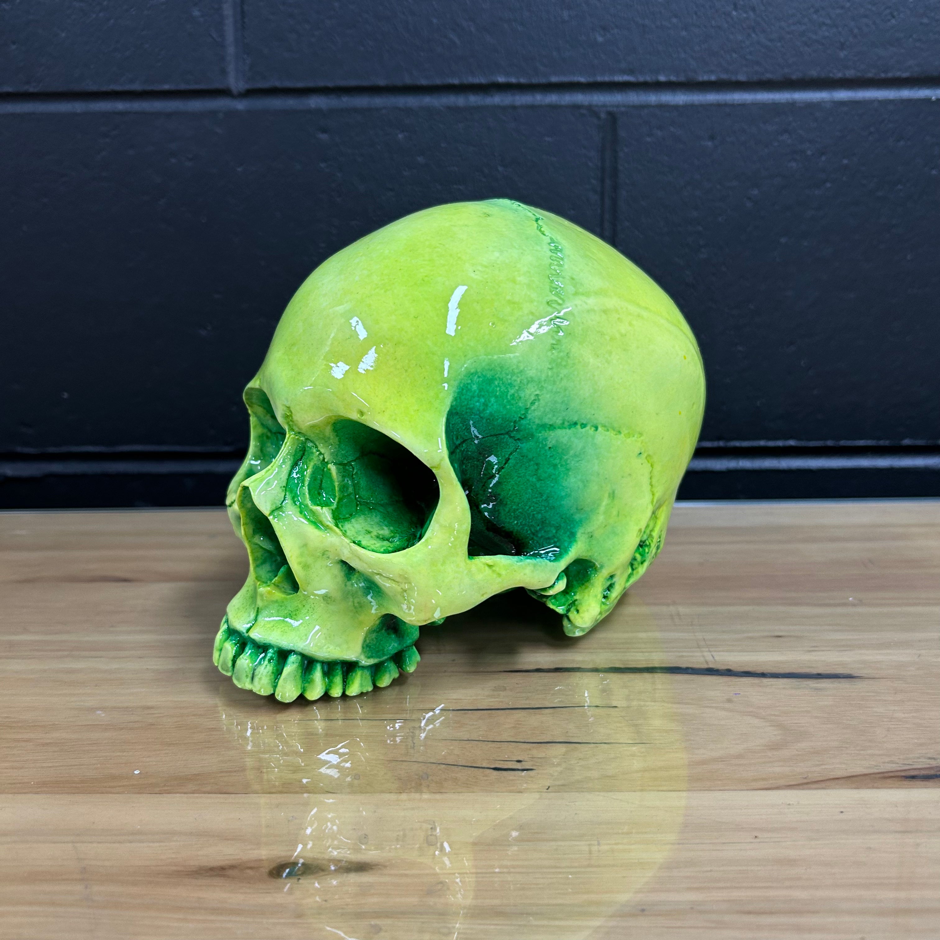 Human Skull Vat of Acid [TEST PAINT 1]