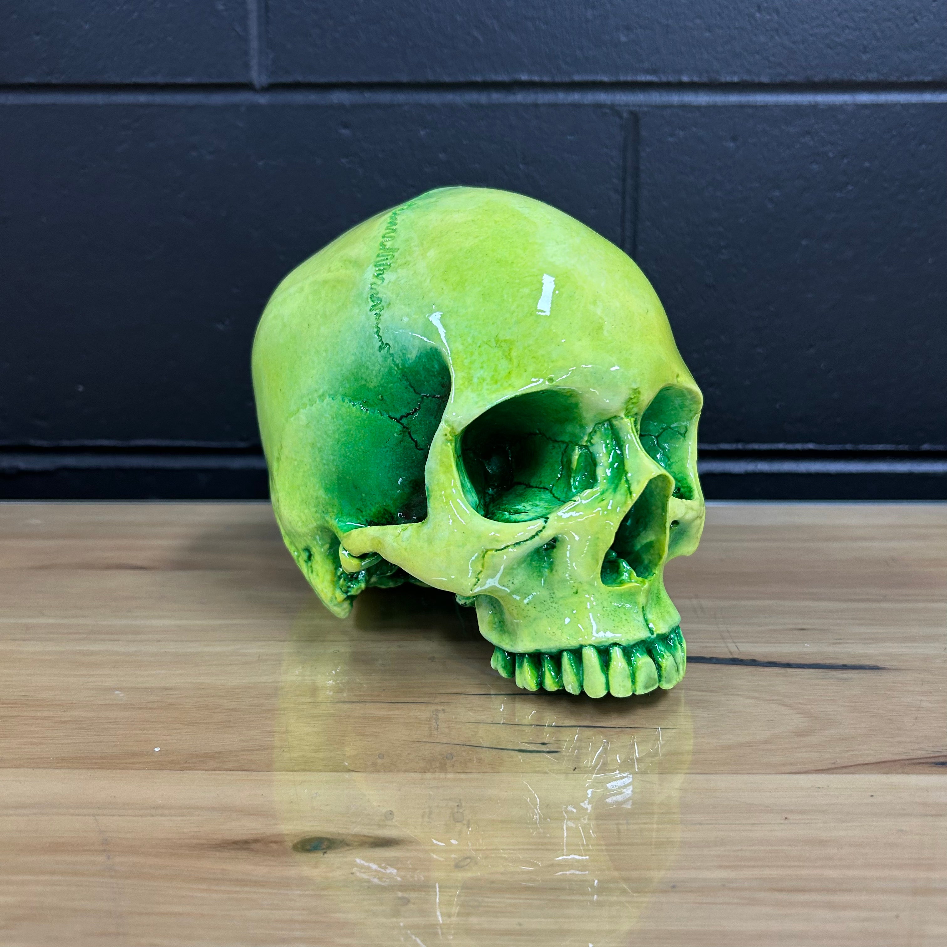 Human Skull Vat of Acid [TEST PAINT 1]