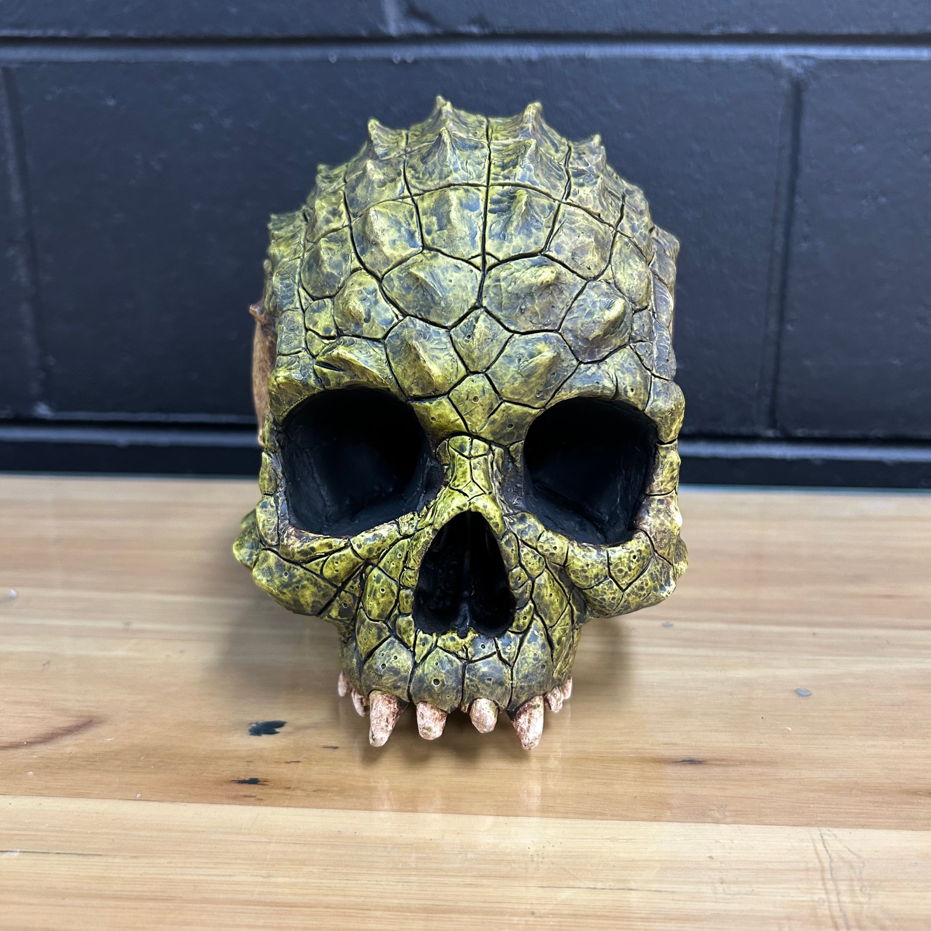 Croc Skull - Swamp [DISCONTINUED]