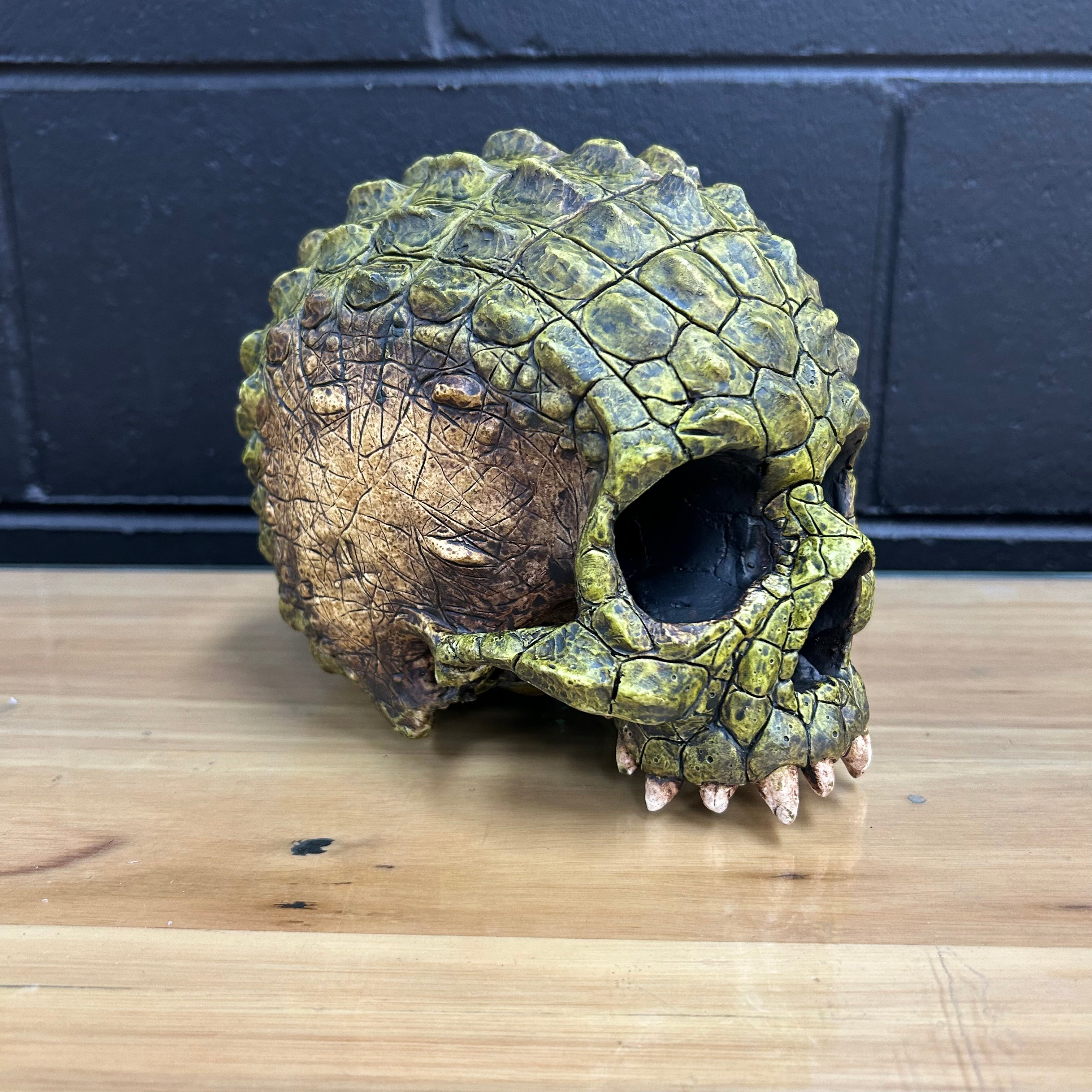 Croc Skull - Swamp [DISCONTINUED]