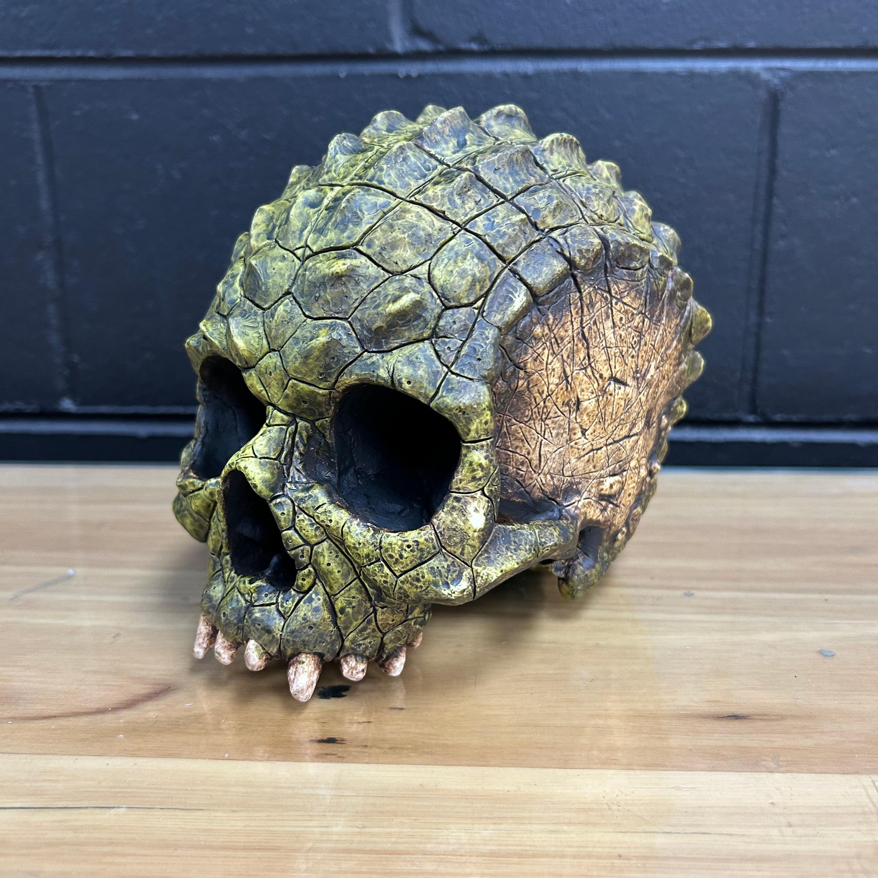 Croc Skull - Swamp [DISCONTINUED]