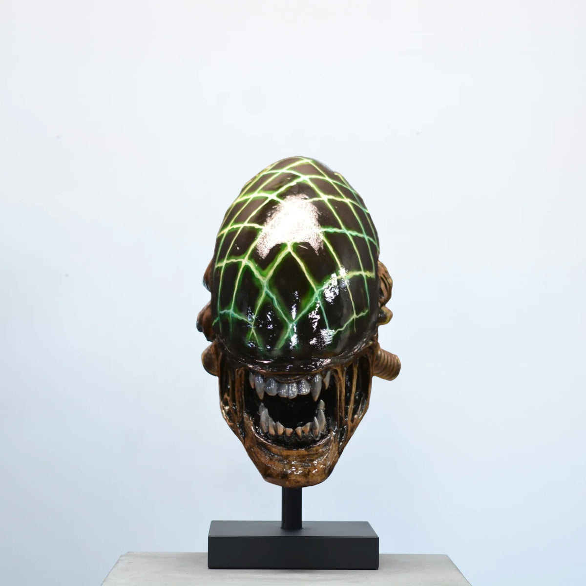 Xeno Trophy - Grid