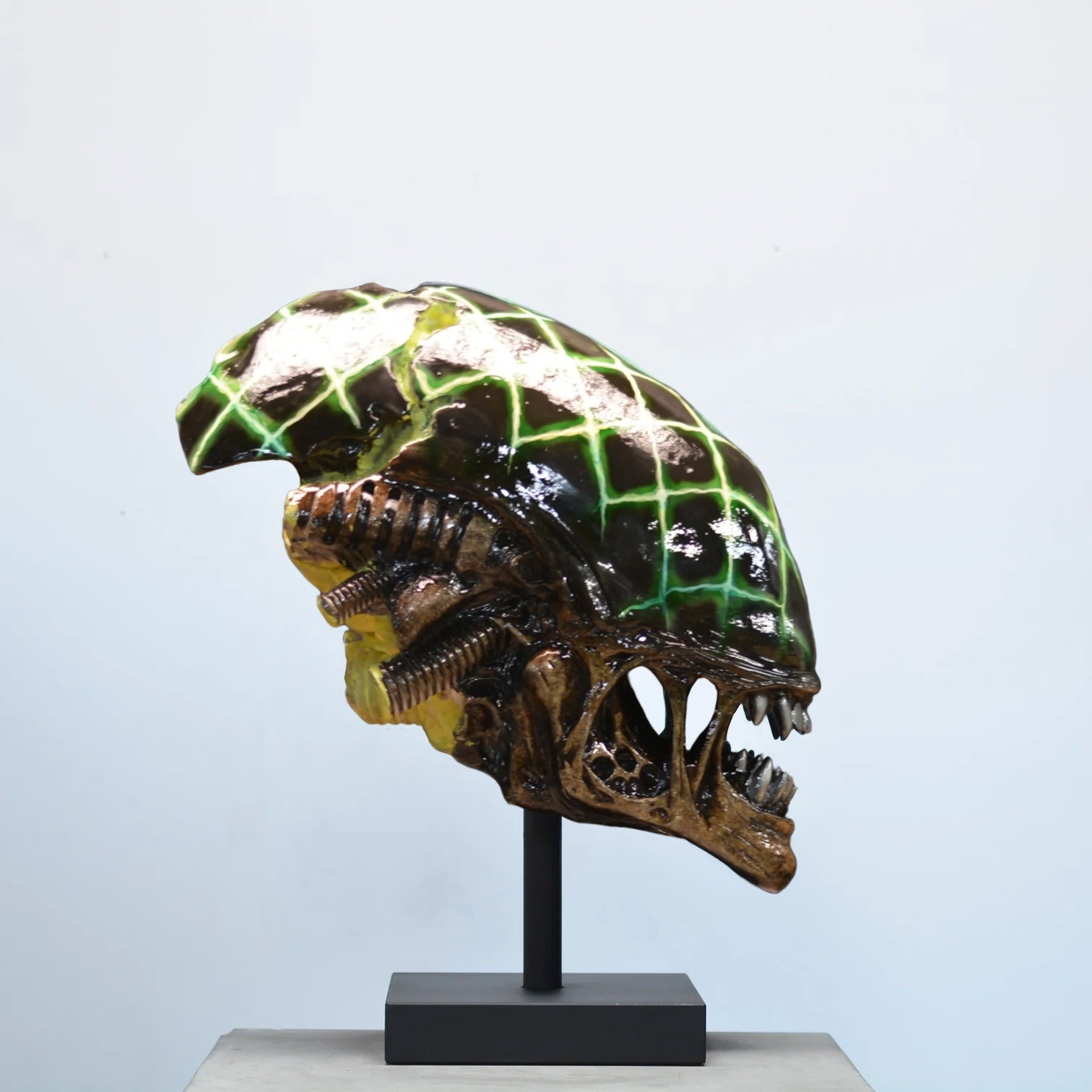 Xeno Trophy - Grid