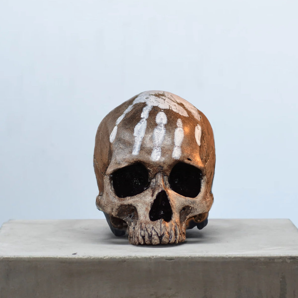 Human Skull - Marked