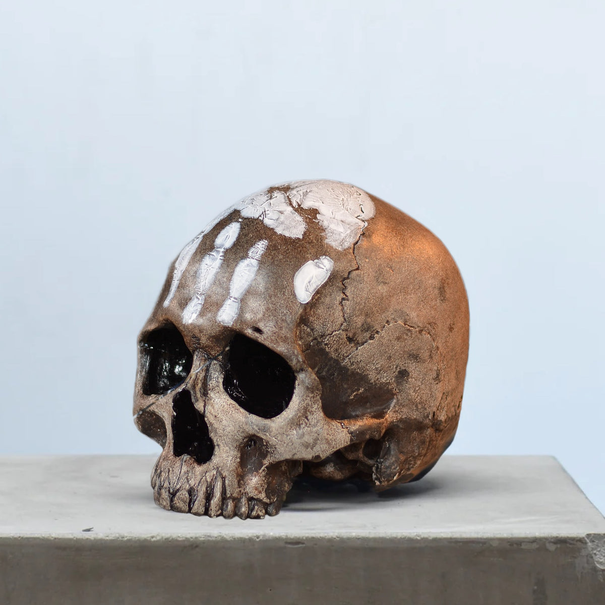 Human Skull - Marked