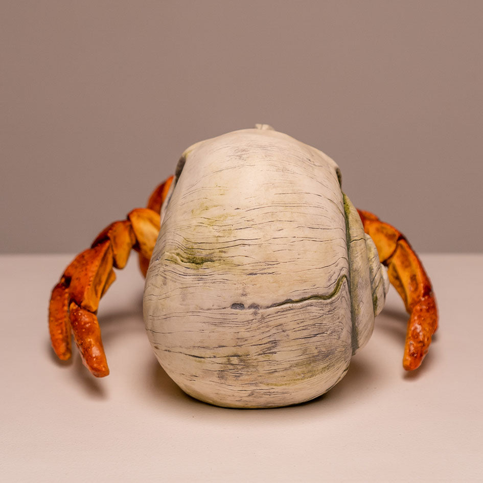 Hermit Crab Skull Jack of the Dust