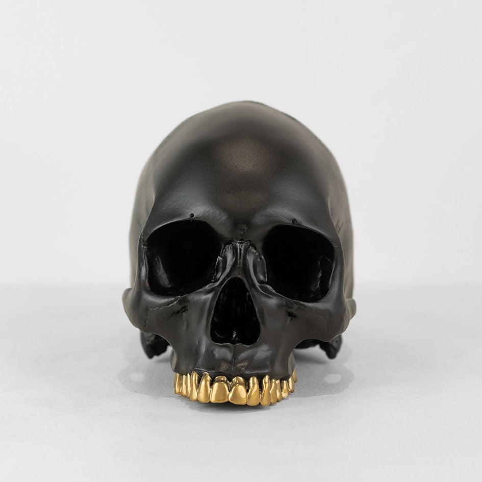 Human Skull - Grillz - jack of the dust